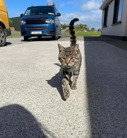 Swan Haven Lisdoonvarna