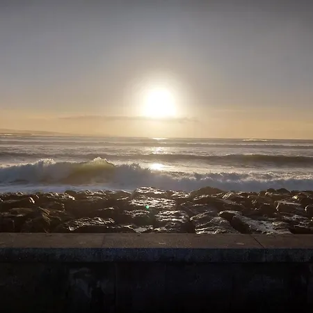 Swan Haven Апартаменты Лисдунварна