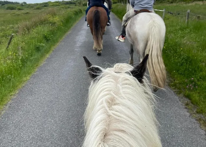 Swan Haven Apartment *